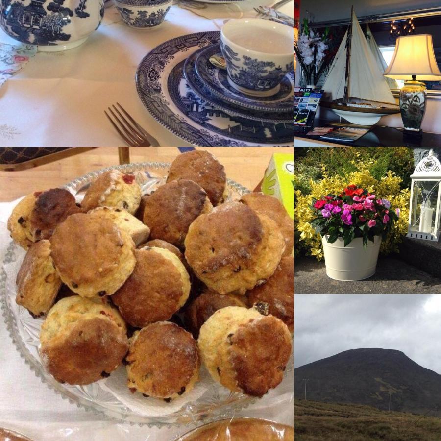 Hillcrest Farmhouse Bed & Breakfast Boyhollagh Eksteriør billede
