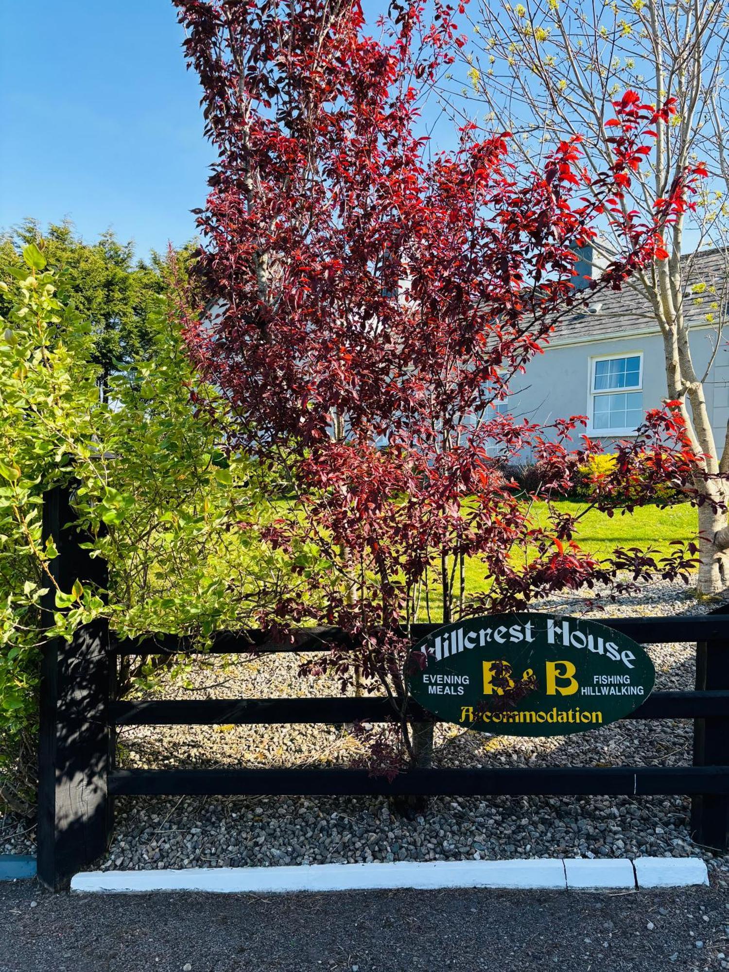 Hillcrest Farmhouse Bed & Breakfast Boyhollagh Eksteriør billede